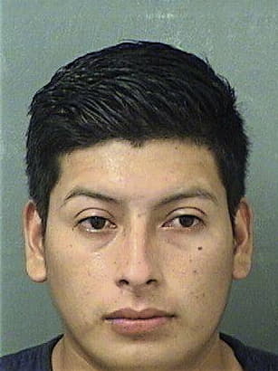 Miguel Alvarezrodriguez, - Palm Beach County, FL 